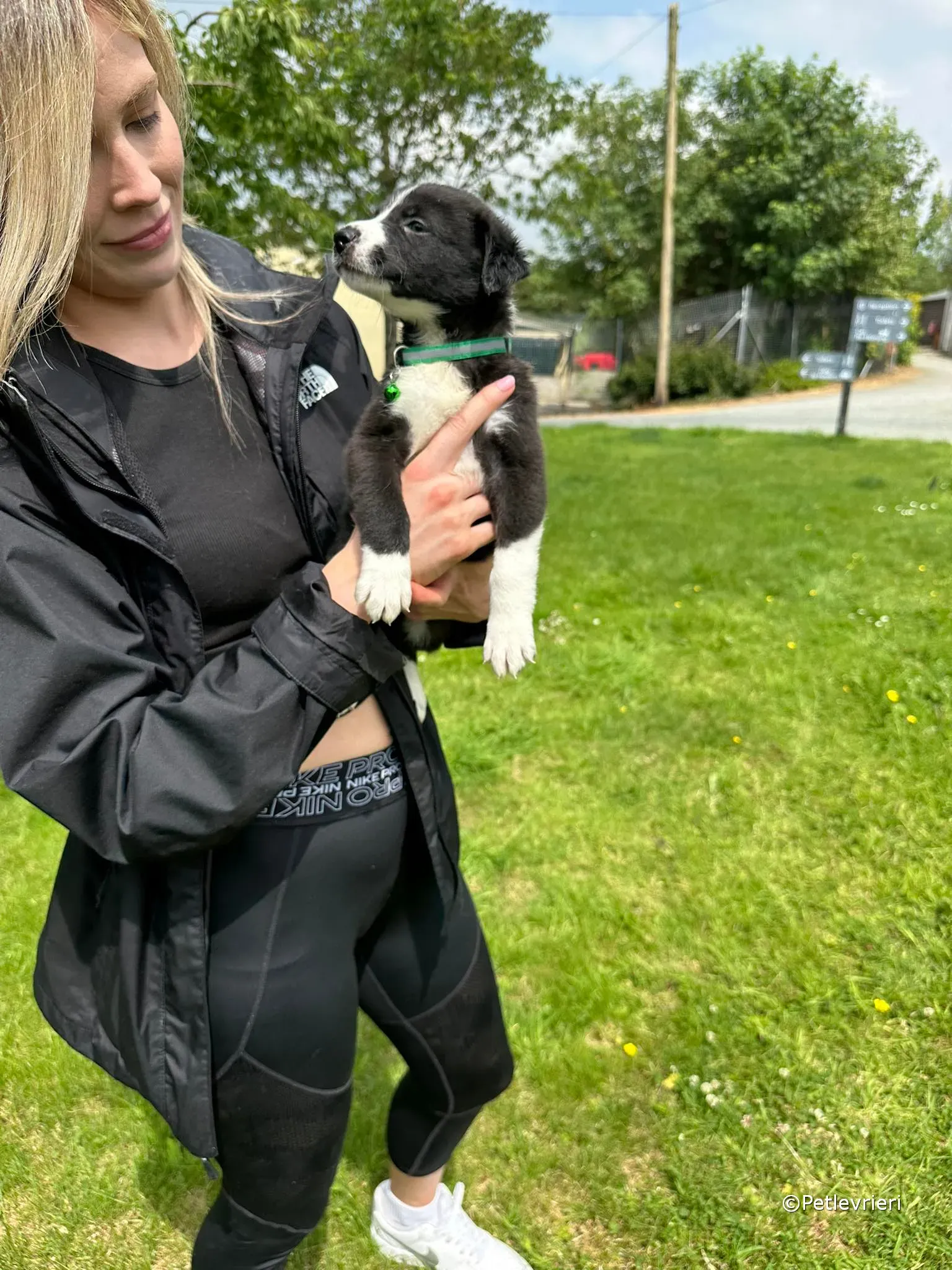 wesley adozione greyhound petlevrieri 33