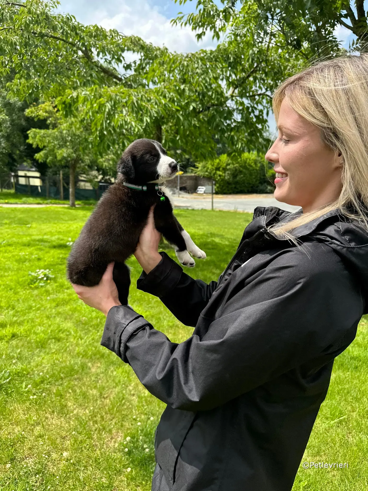 wesley adozione greyhound petlevrieri 37