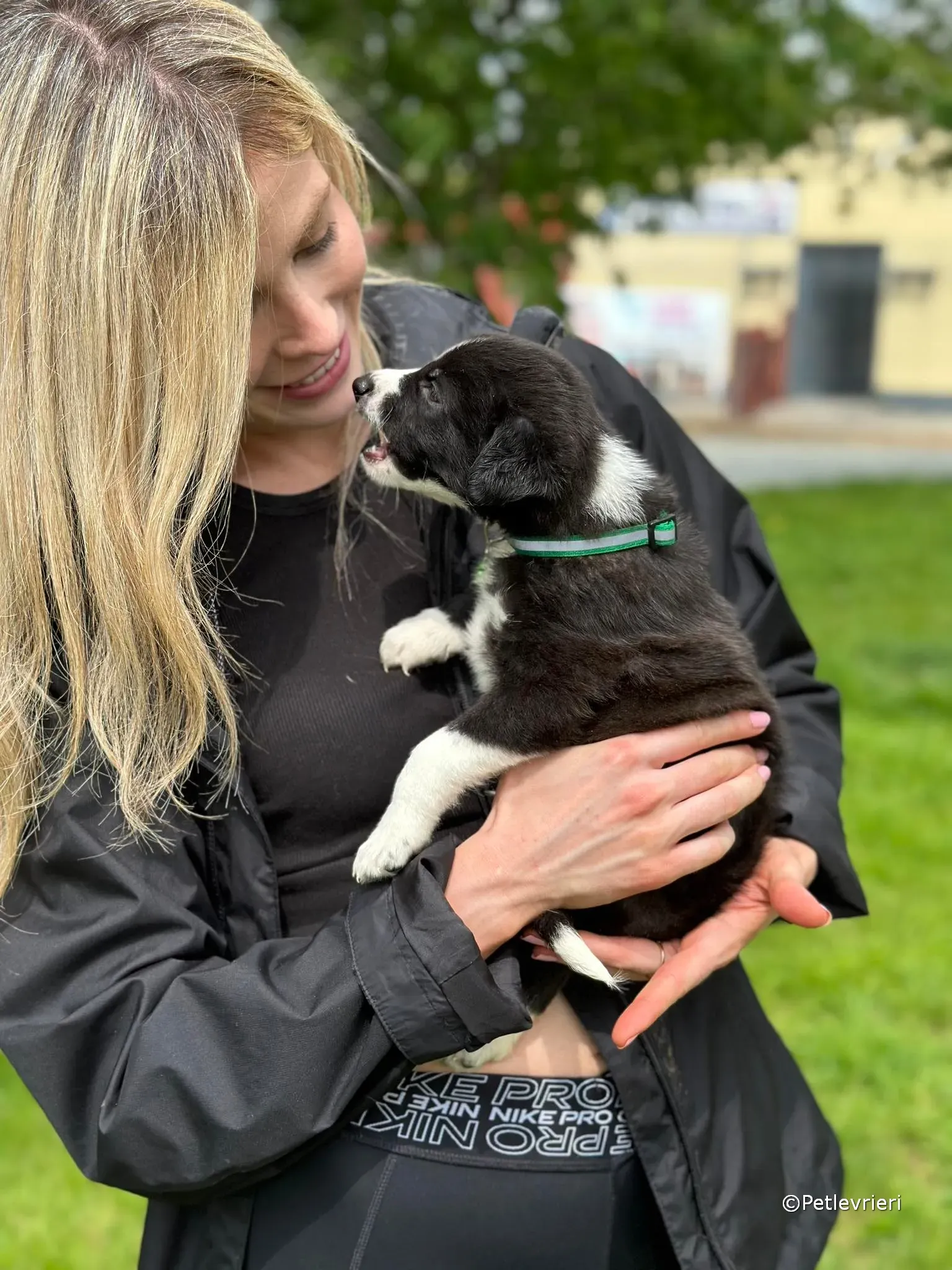 wesley adozione greyhound petlevrieri 38