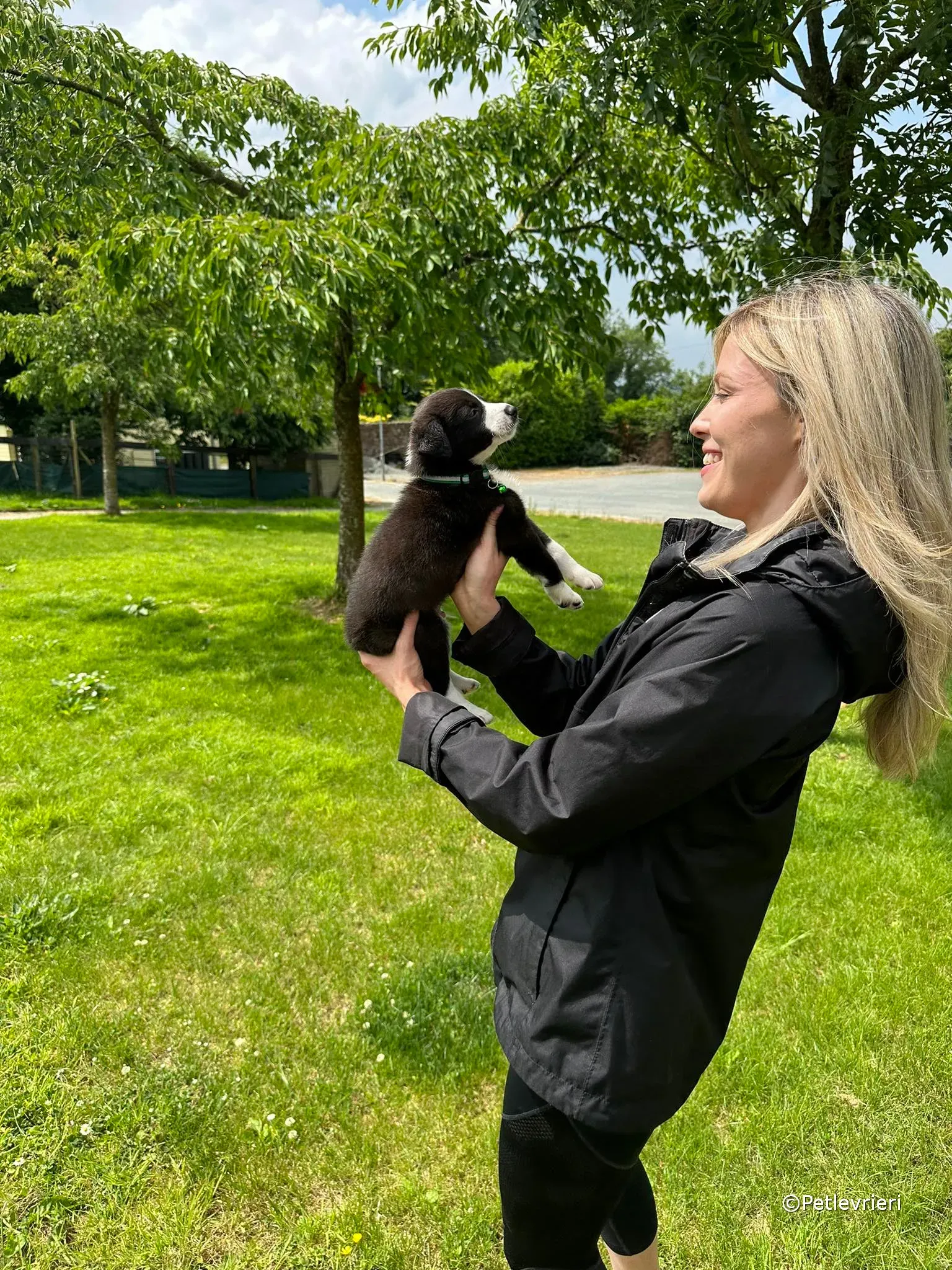 wesley adozione greyhound petlevrieri 49