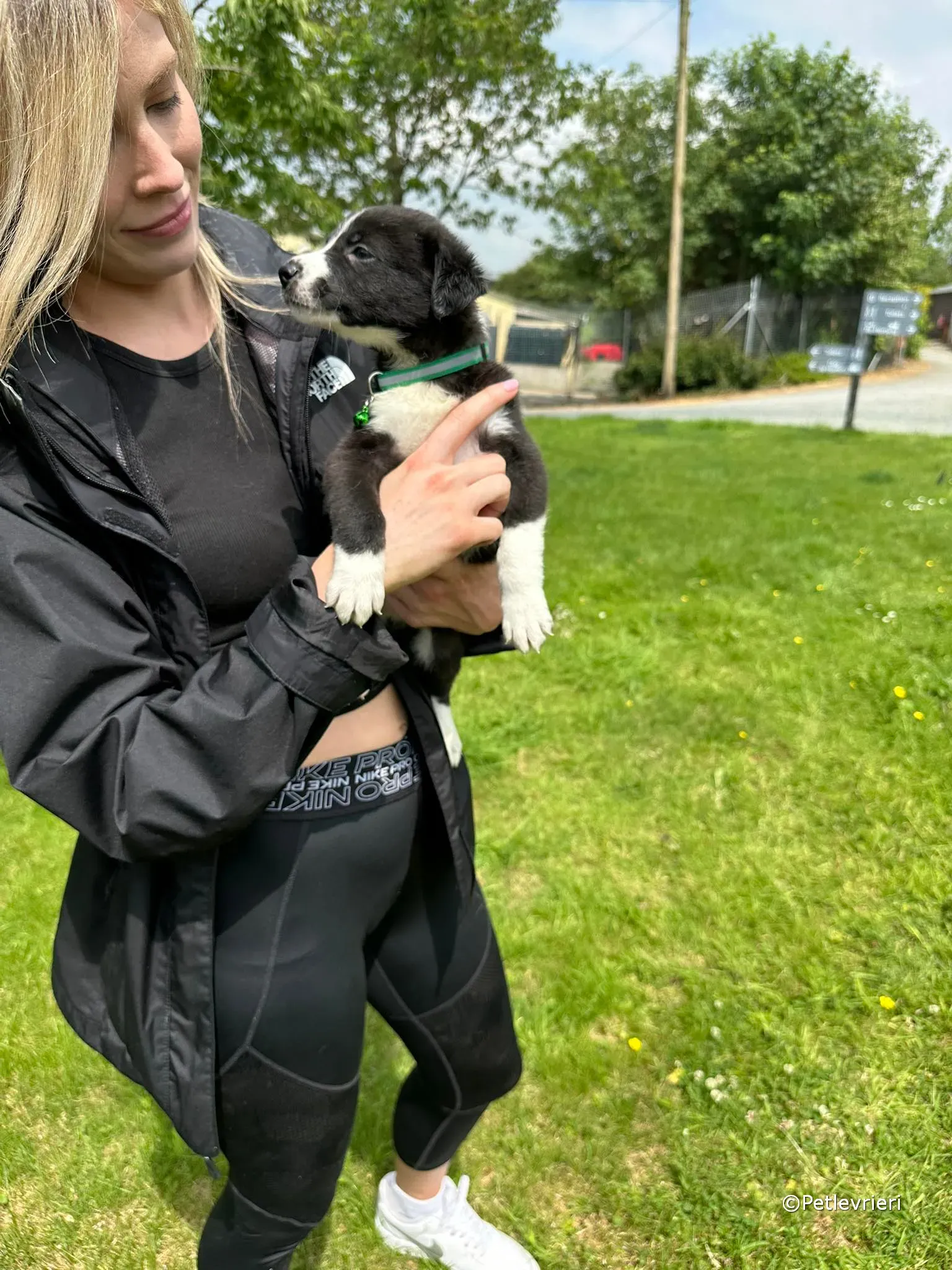 wesley adozione greyhound petlevrieri 51