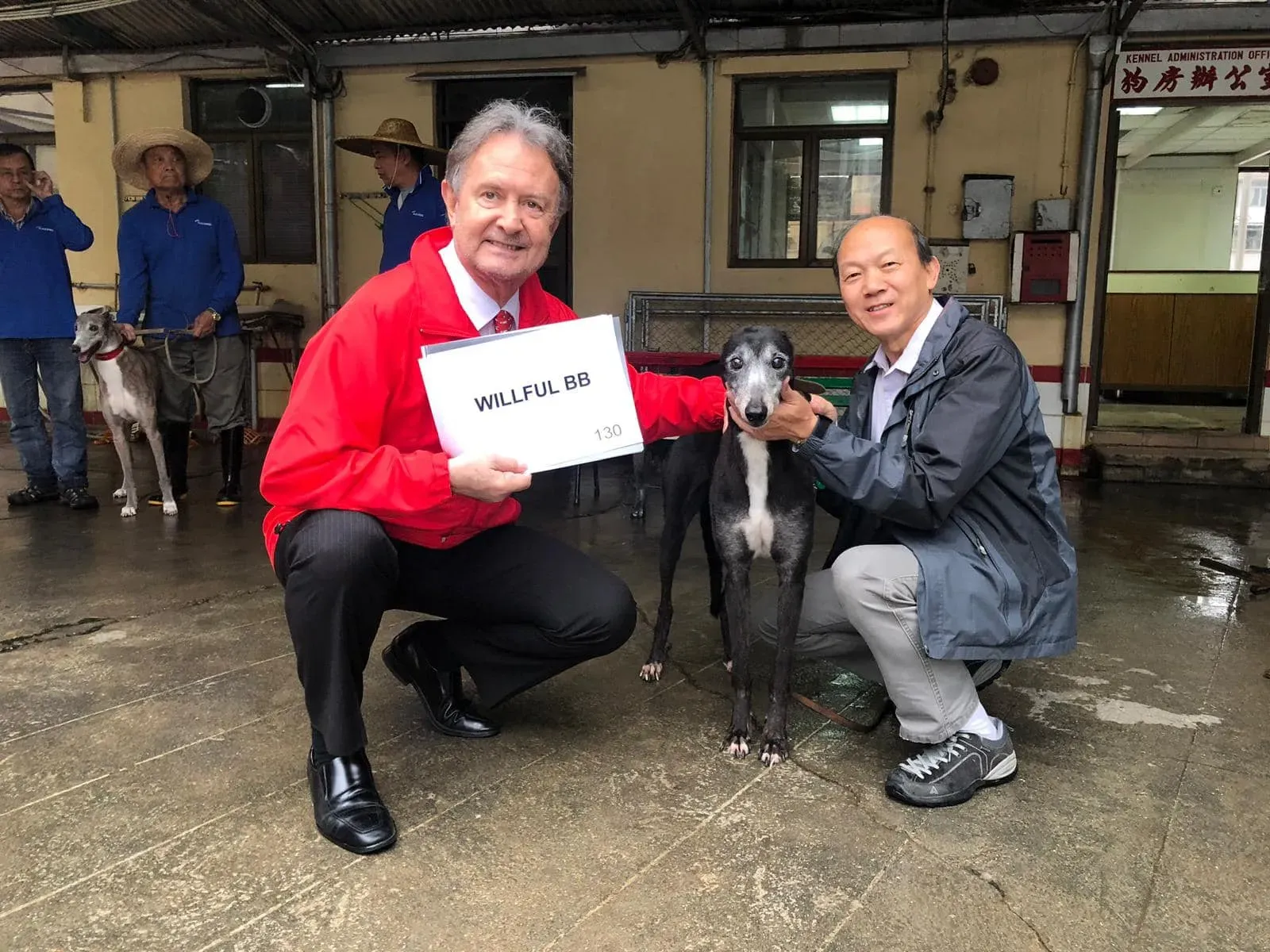 willful bb partenza greyhound macao