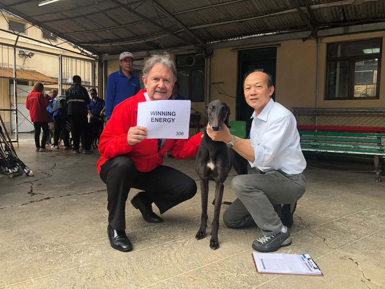 winning energy partenza greyhound macao