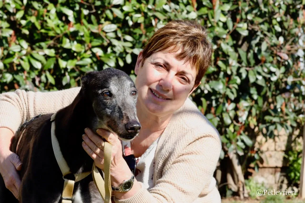 wins easy adozione greyhound macao 22