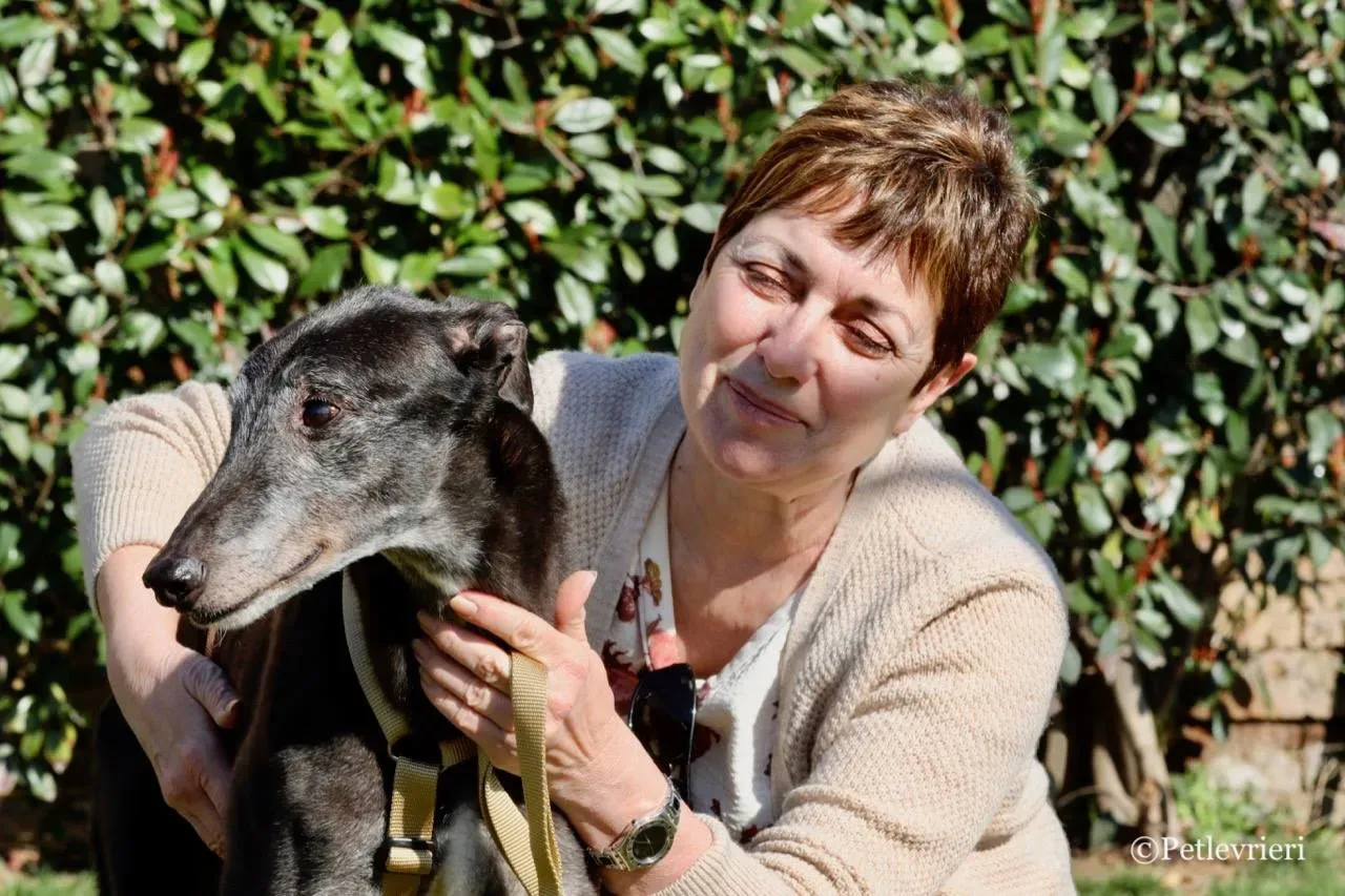 wins easy adozione greyhound macao 23