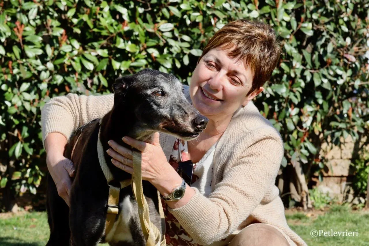 wins easy adozione greyhound macao 24