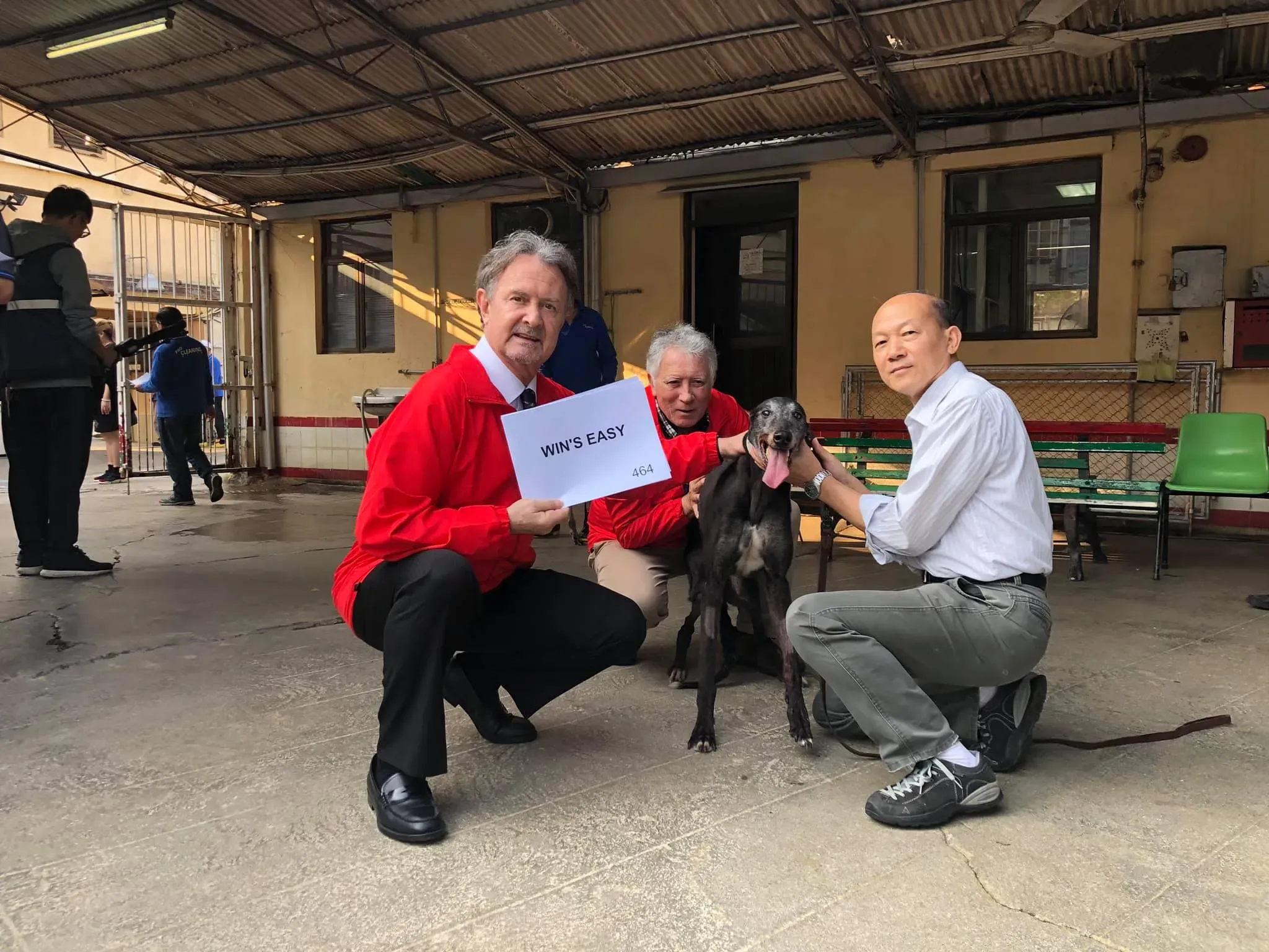 wins easy partenza greyhound macao