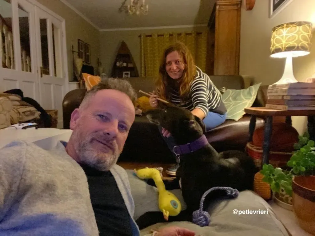 winston adozione greyhound pet levrieri 10