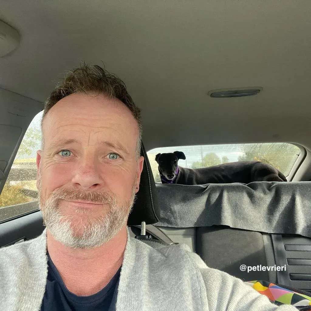 winston adozione greyhound pet levrieri 11