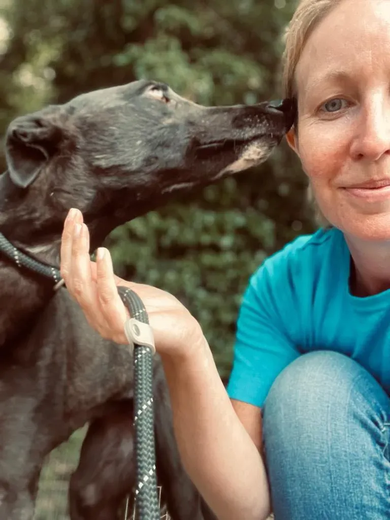 yara greyhound adozione pet levrieri 02