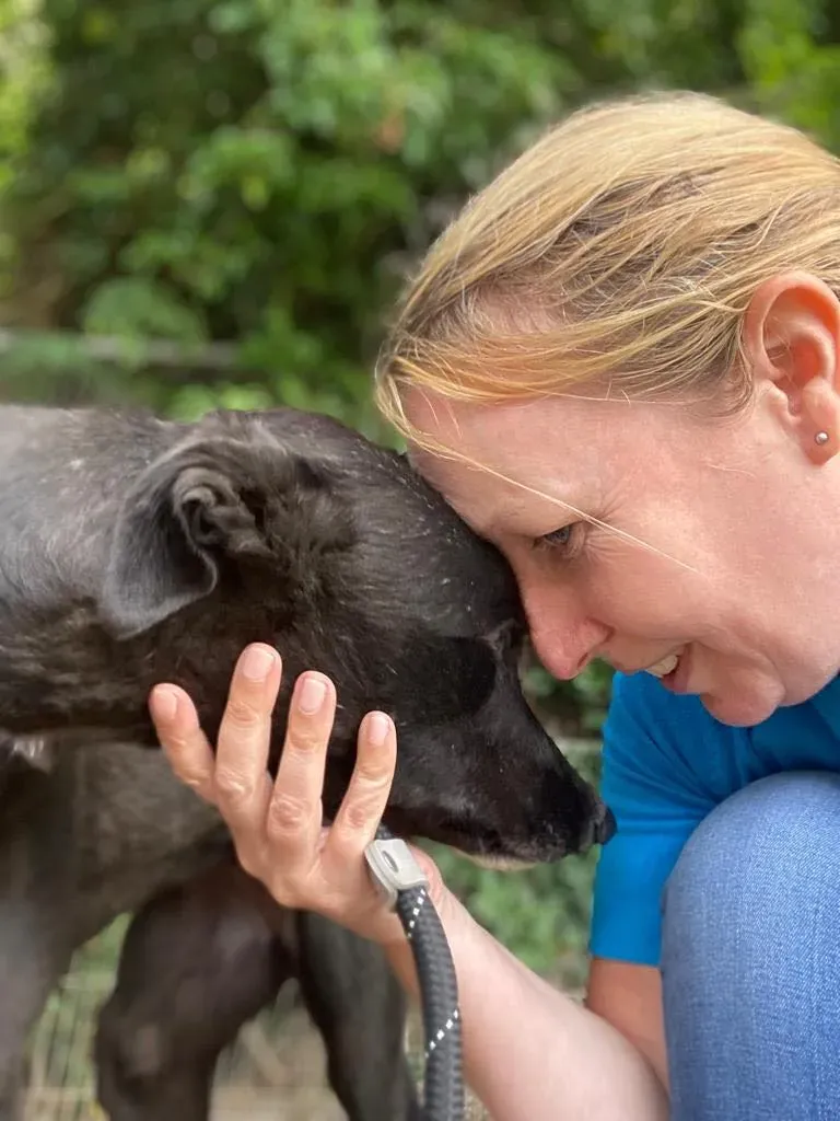 yara greyhound adozione pet levrieri 04