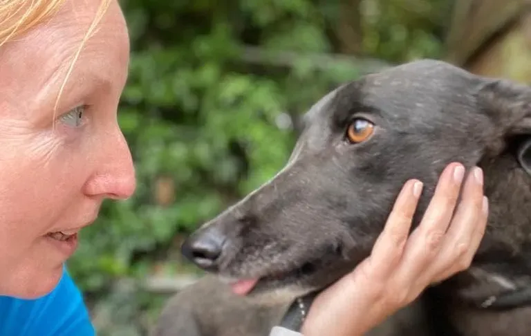 yara greyhound adozione pet levrieri 07 e1658304391702