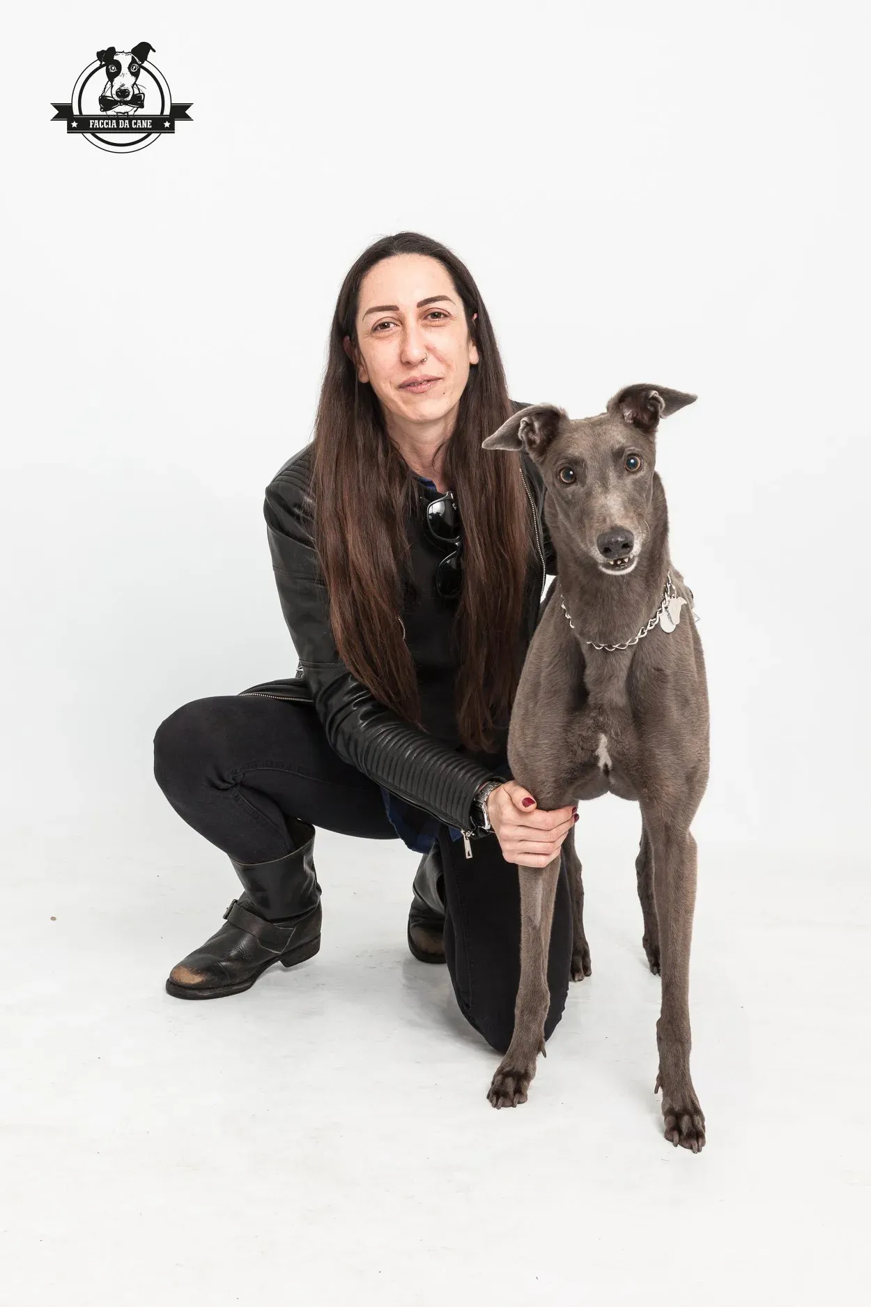 zafonic tanner greyhound macao 1