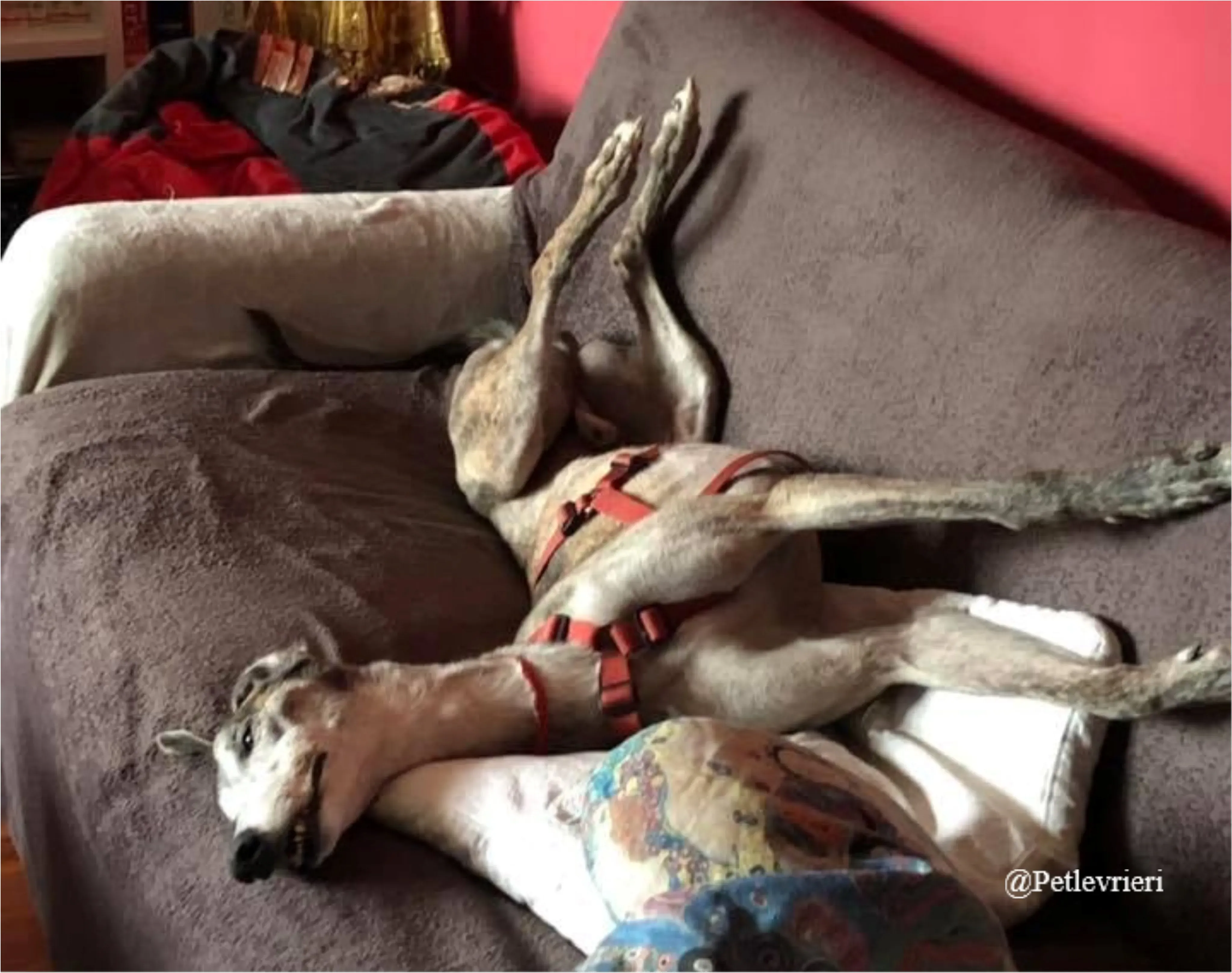 zen11New Phototastic Collage