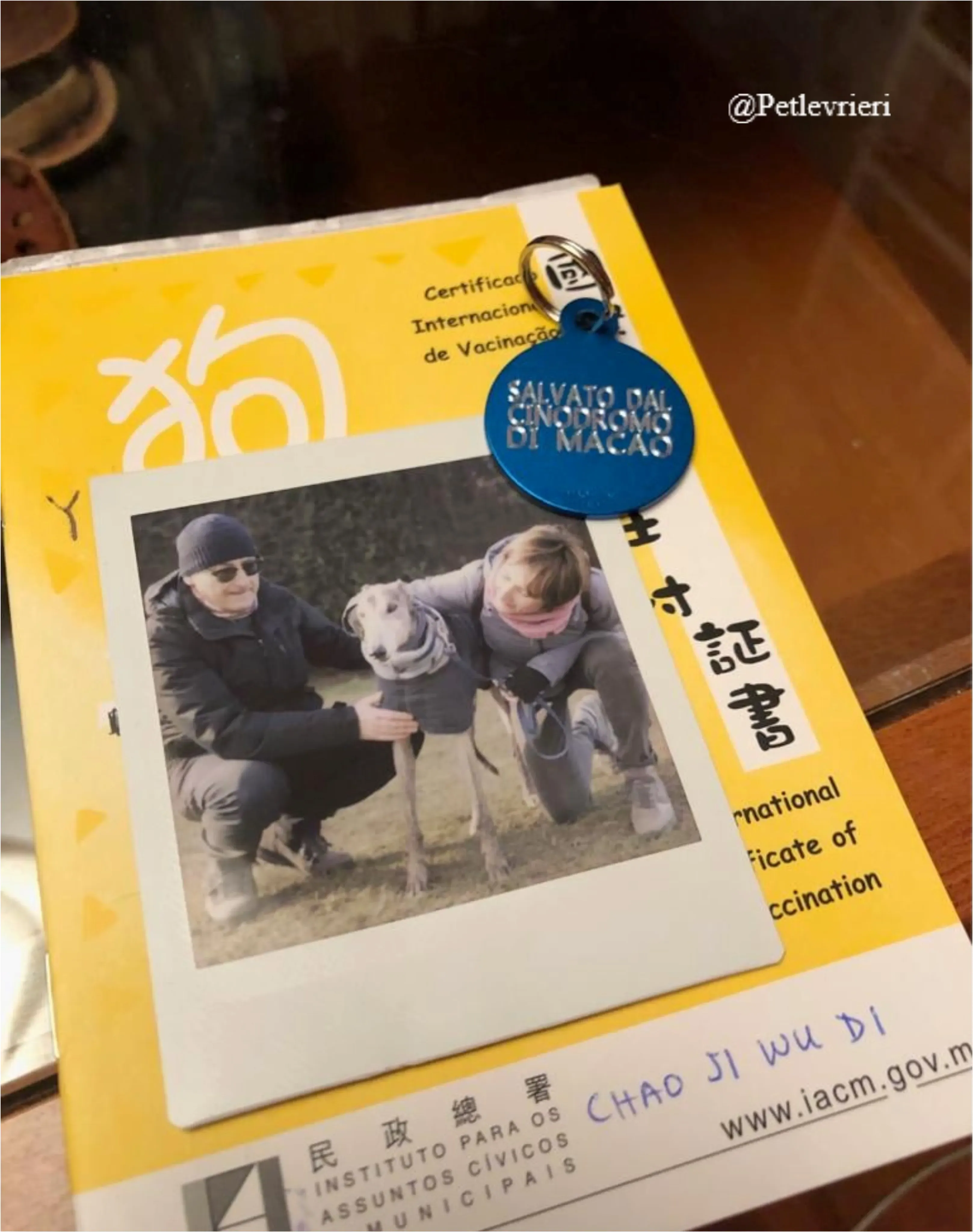 zen15New Phototastic Collage