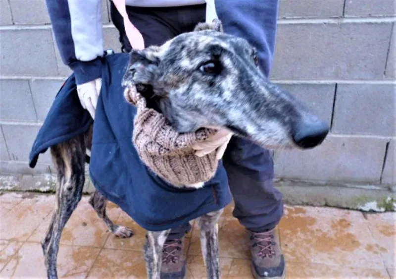 zuka2 skinny but happy